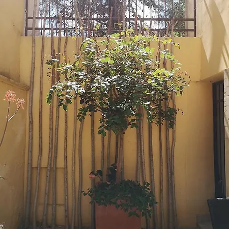 Panzió Corte San Giuseppe Casarano