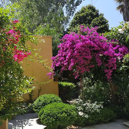 Bed & Breakfast Corte San Giuseppe Casarano