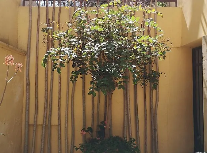 فندق مبيت وإفطار Corte San Giuseppe كازارانو