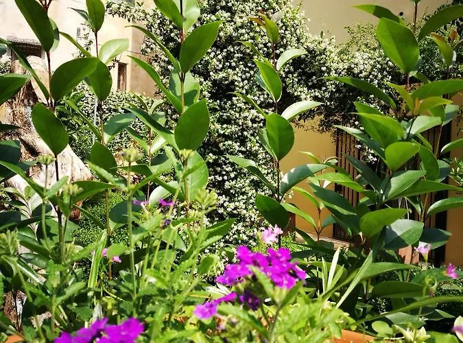 فندق مبيت وإفطار Corte San Giuseppe كازارانو