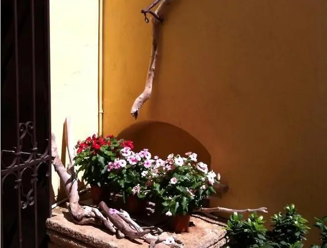 Corte San Giuseppe فندق مبيت وإفطار كازارانو